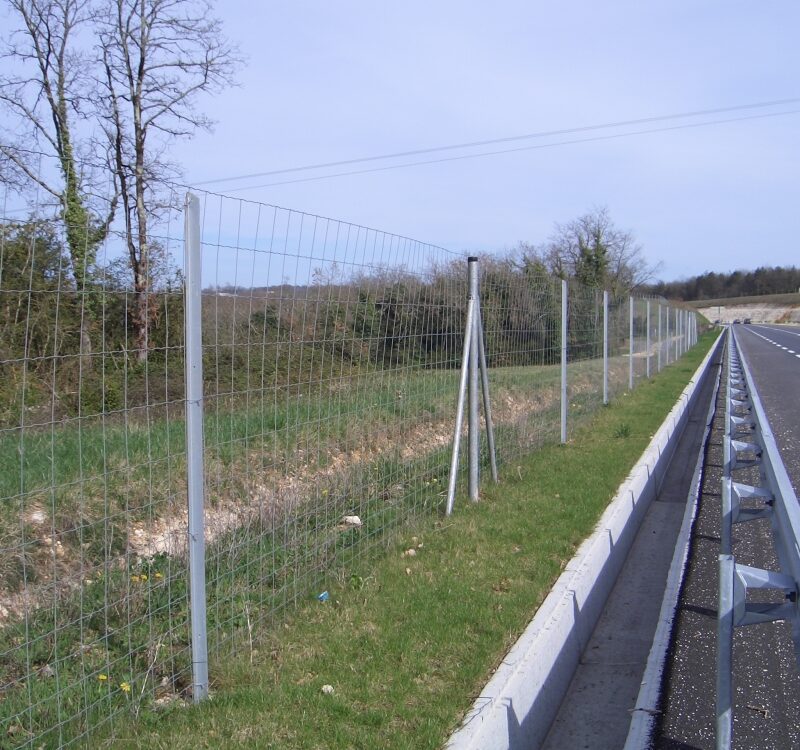 GILLAGE AUTOROUTE 800X750 | Procloture Clôtures grillage Cernay 21